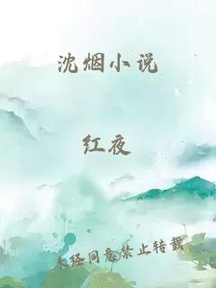 沈烟小说