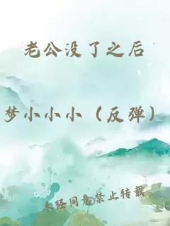 老公没了之后