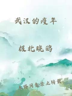 武汉的疫年