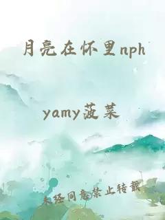 月亮在怀里nph