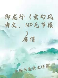 御龙行（玄幻风肉文，NP无节操）