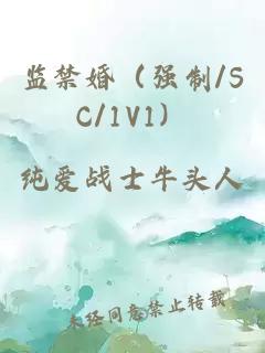 监禁婚（强制/SC/1V1）