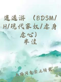 逍遥游 （BDSM/H/现代家奴/虐身虐心）