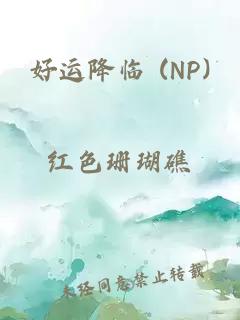 好运降临 (NP)