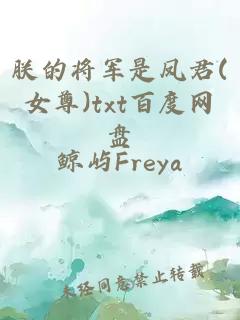 朕的将军是凤君(女尊)txt百度网盘