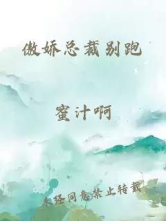 傲娇总裁别跑