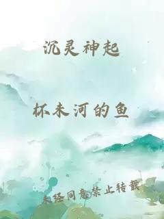 沉灵神起