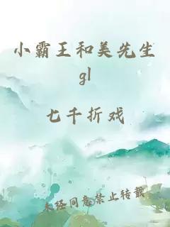 小霸王和美先生gl