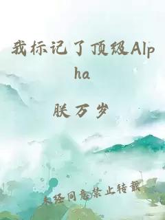 我标记了顶级Alpha