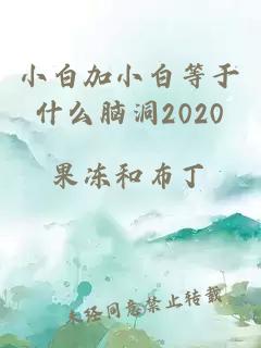 小白加小白等于什么脑洞2020