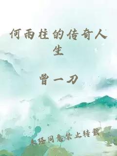 何雨柱的传奇人生