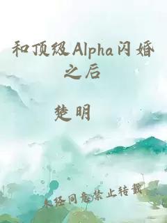 和顶级Alpha闪婚之后