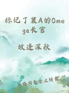 标记了装A的Omega长官