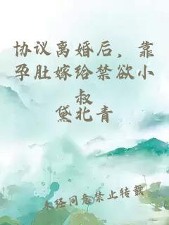 协议离婚后，靠孕肚嫁给禁欲小叔