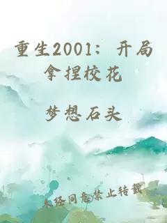 重生2001：开局拿捏校花