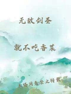 无敌剑圣