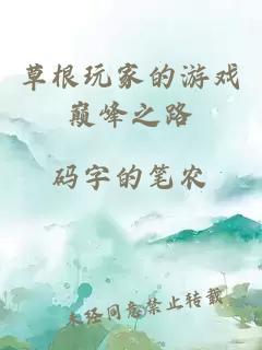 草根玩家的游戏巅峰之路