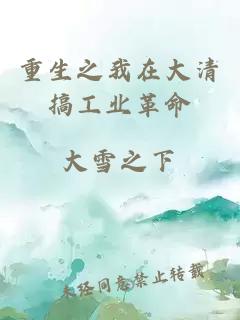 重生之我在大清搞工业革命