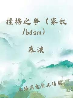 桎梏之争（家奴/bdsm）