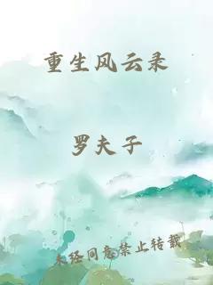 重生风云录