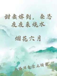 甜妻嫁到，秦总夜夜来烧水