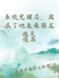 系统觉醒后，我成了地表最强龙傲天