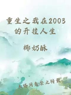 重生之我在2003的开挂人生