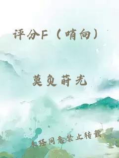 评分F（哨向）