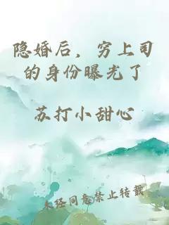 隐婚后，穷上司的身份曝光了