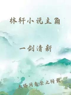 林轩小说主角