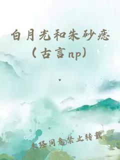 白月光和朱砂痣（古言np）
