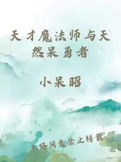 天才魔法师与天然呆勇者